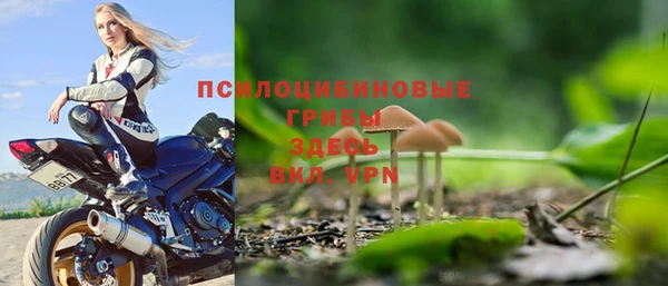 бутират Алзамай
